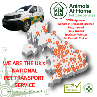 Animals at home hot sale pet care services